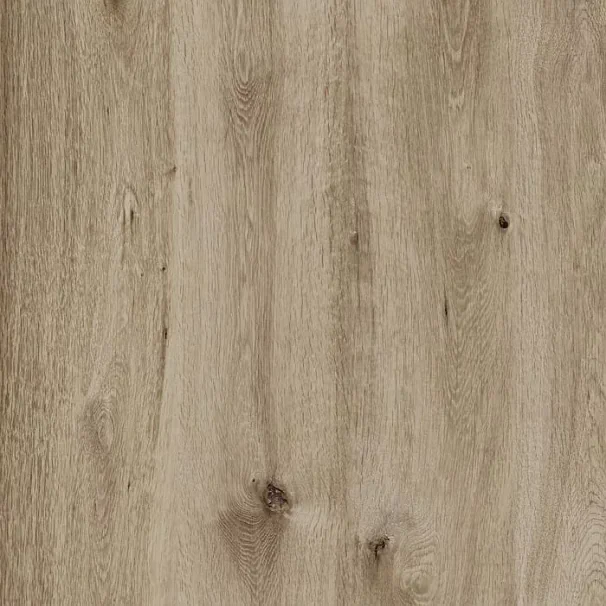 Płyta Tarasowa RAGNO Woodtale XT20 60x60x2