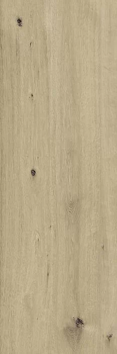 Płyta Tarasowa RAGNO Woodtale XT20 40x120x2